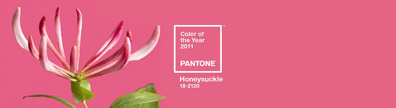 PANTONE彩通2011年度色：金銀花粉（18-2120）(圖1)