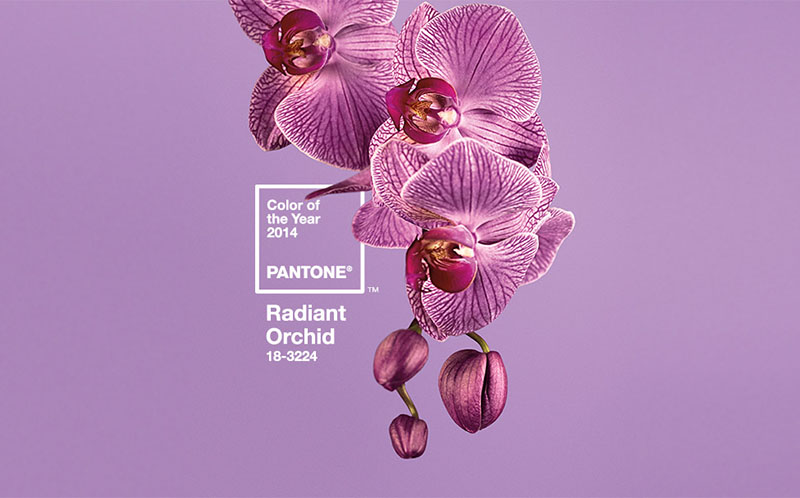 PANTONE014年度色：蘭花紫（18-3224）(圖1)