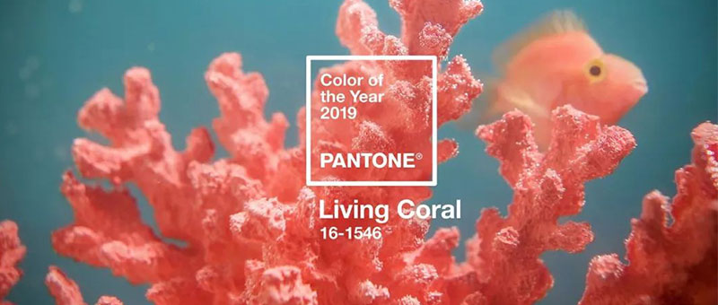 PANTONE 2019年度色：活珊瑚橘（16-1546 ）(圖1)