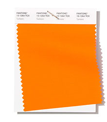 Pantone|紐約時(shí)裝周春/夏2019時(shí)尚色彩趨勢(shì)報(bào)告(圖4)
