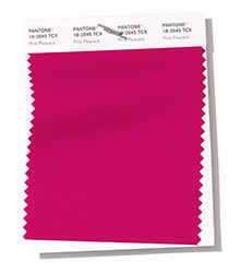 Pantone|紐約時(shí)裝周春/夏2019時(shí)尚色彩趨勢(shì)報(bào)告(圖6)