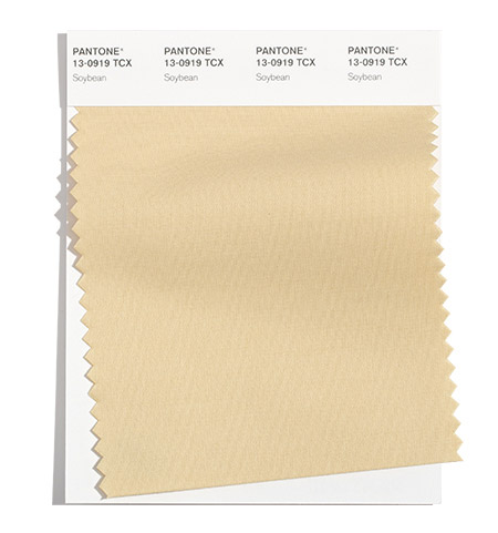 PANTONE  2021/2022秋冬紐約時(shí)裝周流行色趨勢(shì)報(bào)告(圖14)