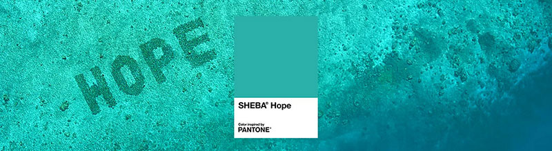 PANTONE與貓糧品牌SHEBA合作打造熱帶藍(lán)綠色調(diào)以支持珊瑚礁修復(fù)項目(圖1)