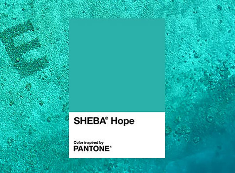 PANTONE與貓糧品牌SHEBA合作打造熱帶藍(lán)綠色調(diào)以支持珊瑚礁修復(fù)項目(圖2)