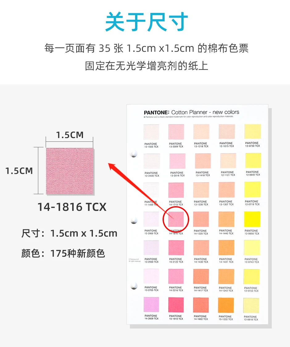 2024潘通TCX色卡棉布版補充色